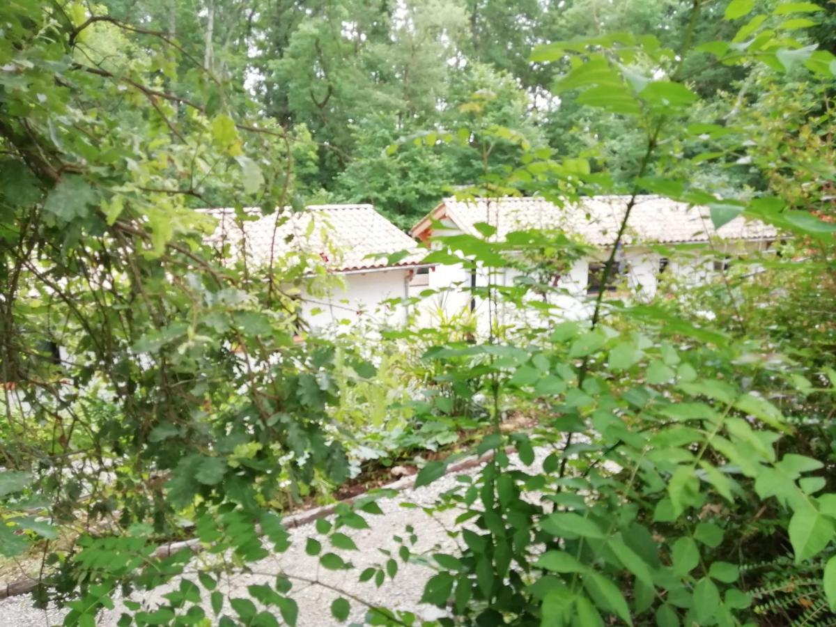 Pause Nature. Maison Ananda A 14 Kms De Toulouse Avec Parking Privatif Lapeyrouse-Fossat Eksteriør bilde